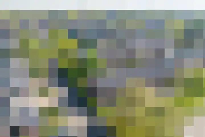 Driekoningenhof 81 De Rijp thumbnail 52
