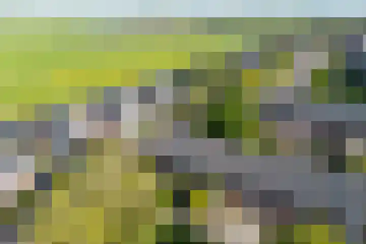 Driekoningenhof 81 De Rijp thumbnail 53