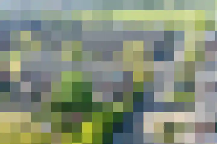 Driekoningenhof 81 De Rijp thumbnail 54