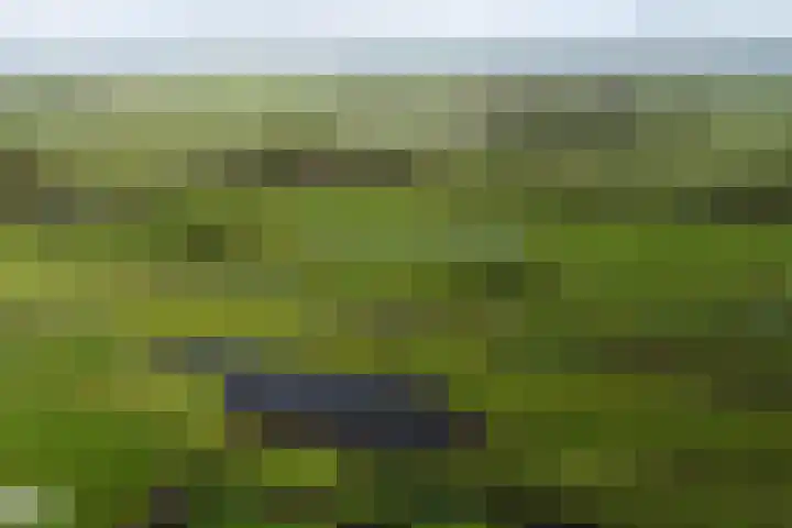 Driekoningenhof 81 De Rijp thumbnail 61
