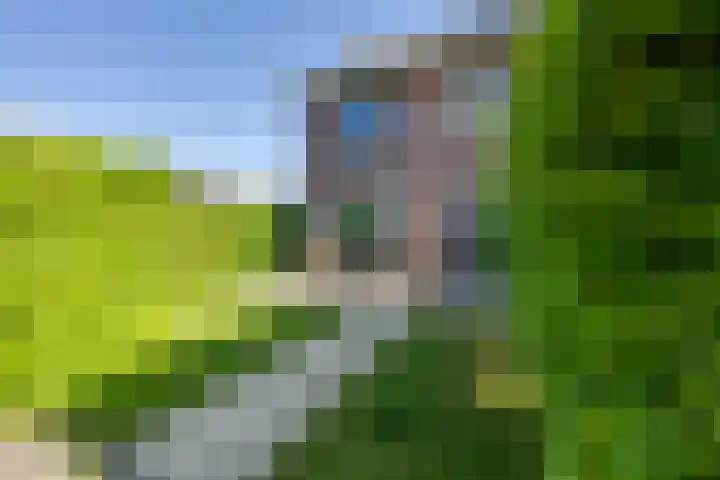 Driekoningenhof 81 De Rijp thumbnail 7