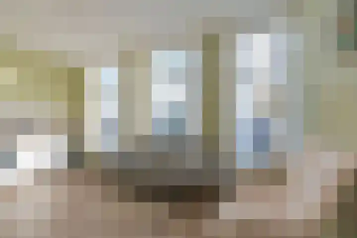 Driekoningenlaan 1 Zierikzee thumbnail 12