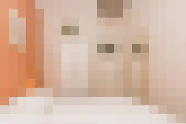 Driekoningenlaan 1 Zierikzee thumbnail 17