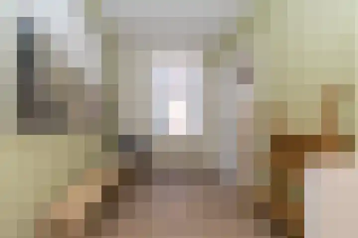 Driekoningenlaan 1 Zierikzee thumbnail 20