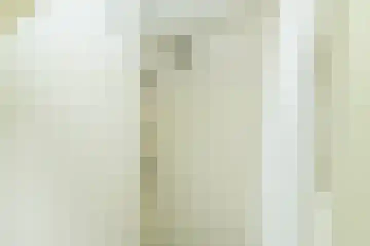 Driekoningenlaan 1 Zierikzee thumbnail 22