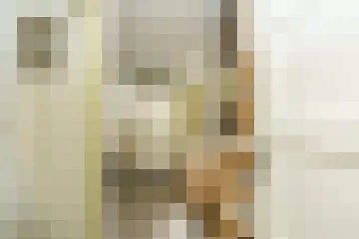 Driekoningenlaan 1 Zierikzee thumbnail 26