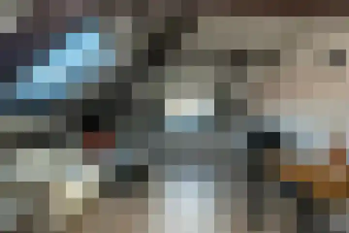Driekoningenlaan 1 Zierikzee thumbnail 28