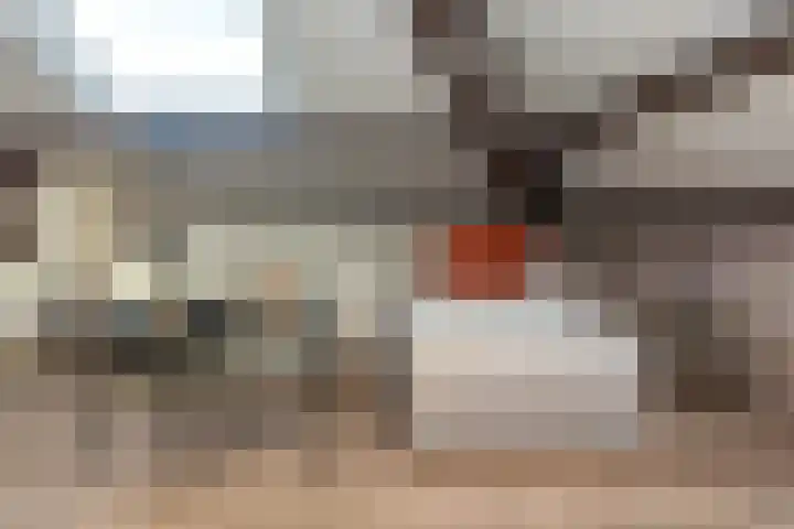 Driekoningenlaan 1 Zierikzee thumbnail 31