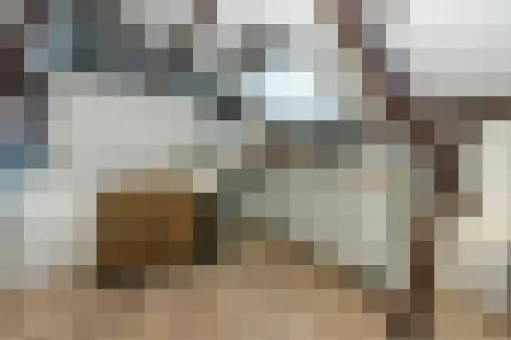 Driekoningenlaan 1 Zierikzee thumbnail 33