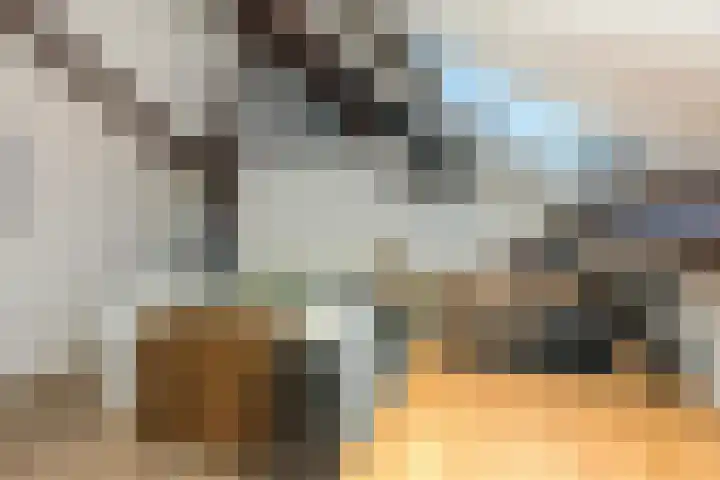 Driekoningenlaan 1 Zierikzee thumbnail 36