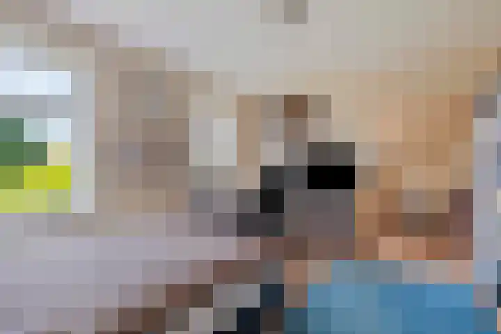 Driekoningenlaan 13 Zierikzee thumbnail 20
