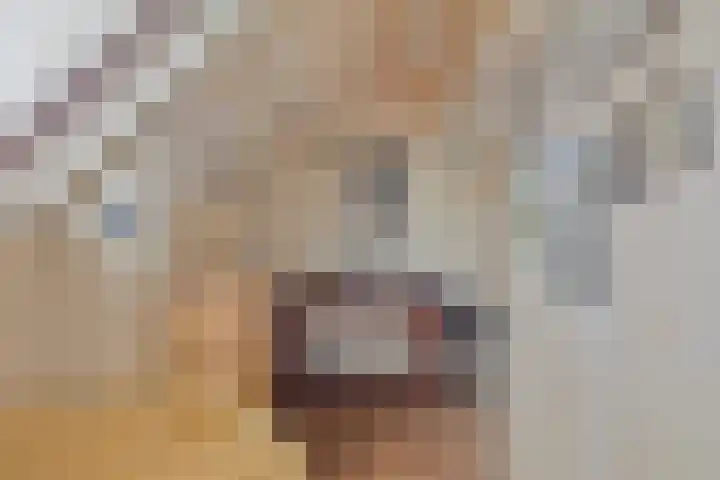 Driekoningenlaan 13 Zierikzee thumbnail 23