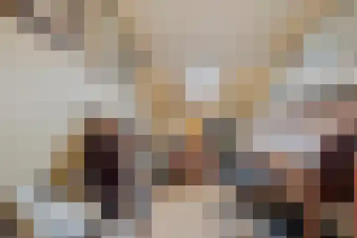 Driekoningenlaan 13 Zierikzee thumbnail 24