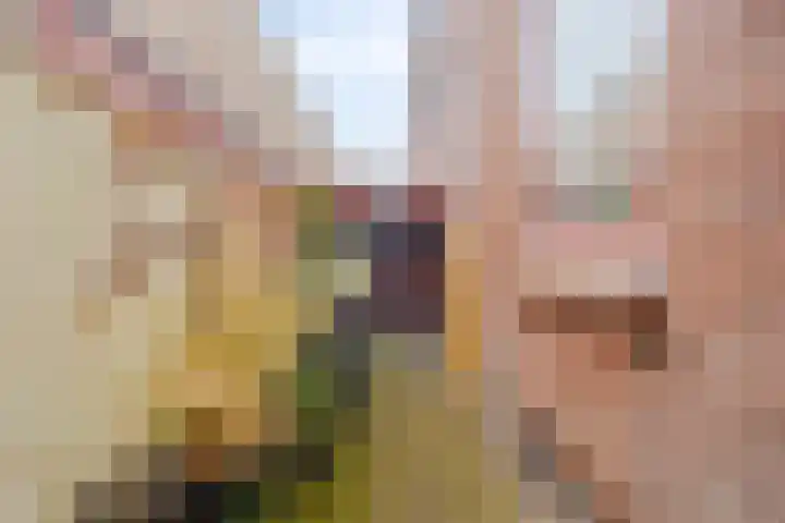 Driekoningenlaan 13 Zierikzee thumbnail 26