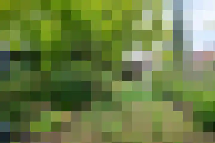 Driekoningenlaan 13 Zierikzee thumbnail 28