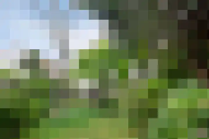 Driekoningenlaan 13 Zierikzee thumbnail 30