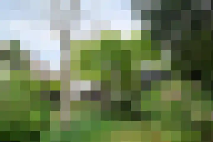 Driekoningenlaan 13 Zierikzee thumbnail 31