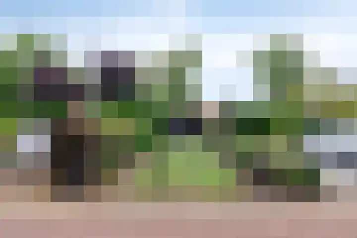 Driekoningenlaan 13 Zierikzee thumbnail 32