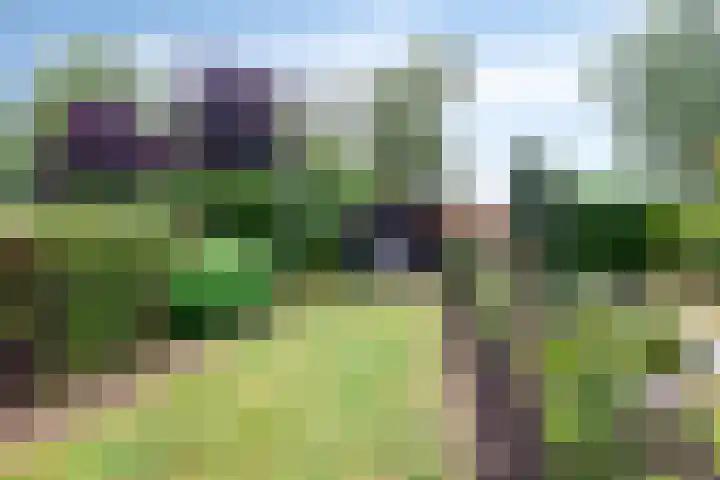 Driekoningenlaan 13 Zierikzee thumbnail 33