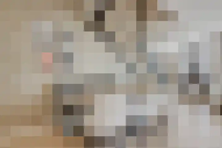 Driekoningenlaan 15 Zierikzee thumbnail 10