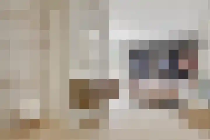 Driekoningenlaan 15 Zierikzee thumbnail 13