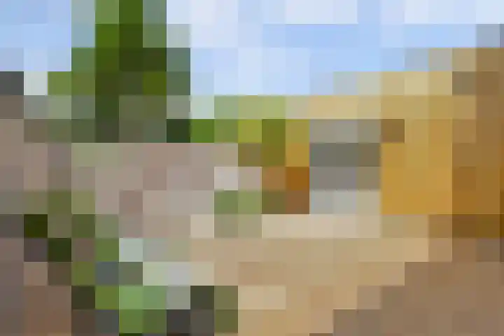 Driekoningenlaan 15 Zierikzee thumbnail 22
