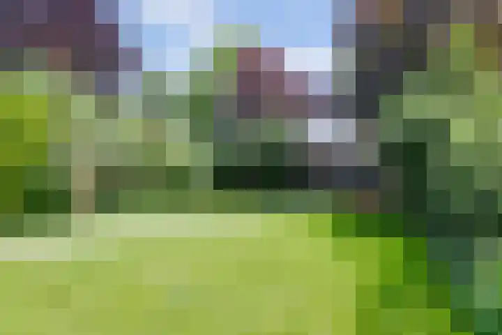 Driekoningenlaan 15 Zierikzee thumbnail 25