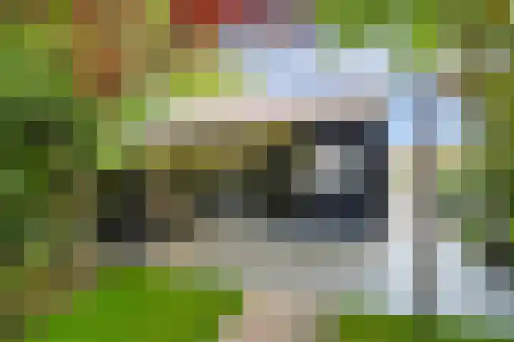 Driekoningenlaan 15 Zierikzee thumbnail 26