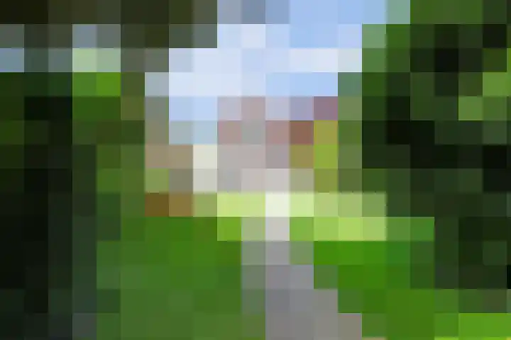 Driekoningenlaan 15 Zierikzee thumbnail 27
