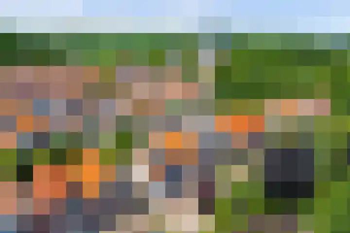 Driekoningenlaan 15 Zierikzee thumbnail 28