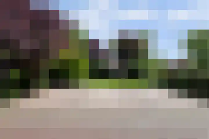 Driekoningenlaan 15 Zierikzee thumbnail 4