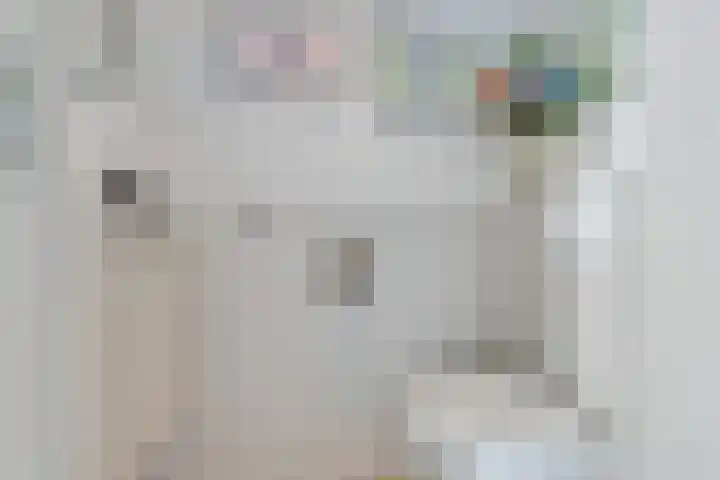 Driekoningenlaan 15 Zierikzee thumbnail 7