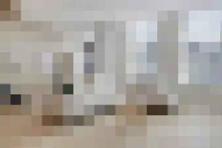 Driekoningenlaan 15 Zierikzee thumbnail 9