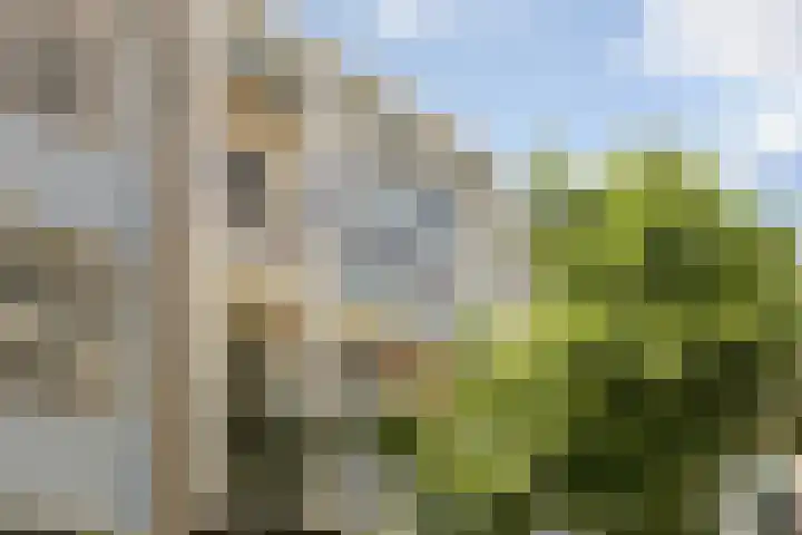 Driekoningenstraat 10 1 Arnhem thumbnail 18