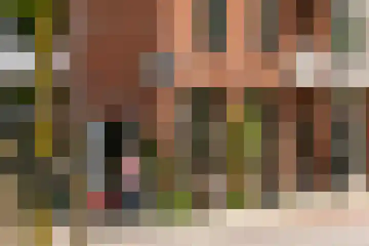 Driekoningenstraat 10 1 Arnhem thumbnail 21