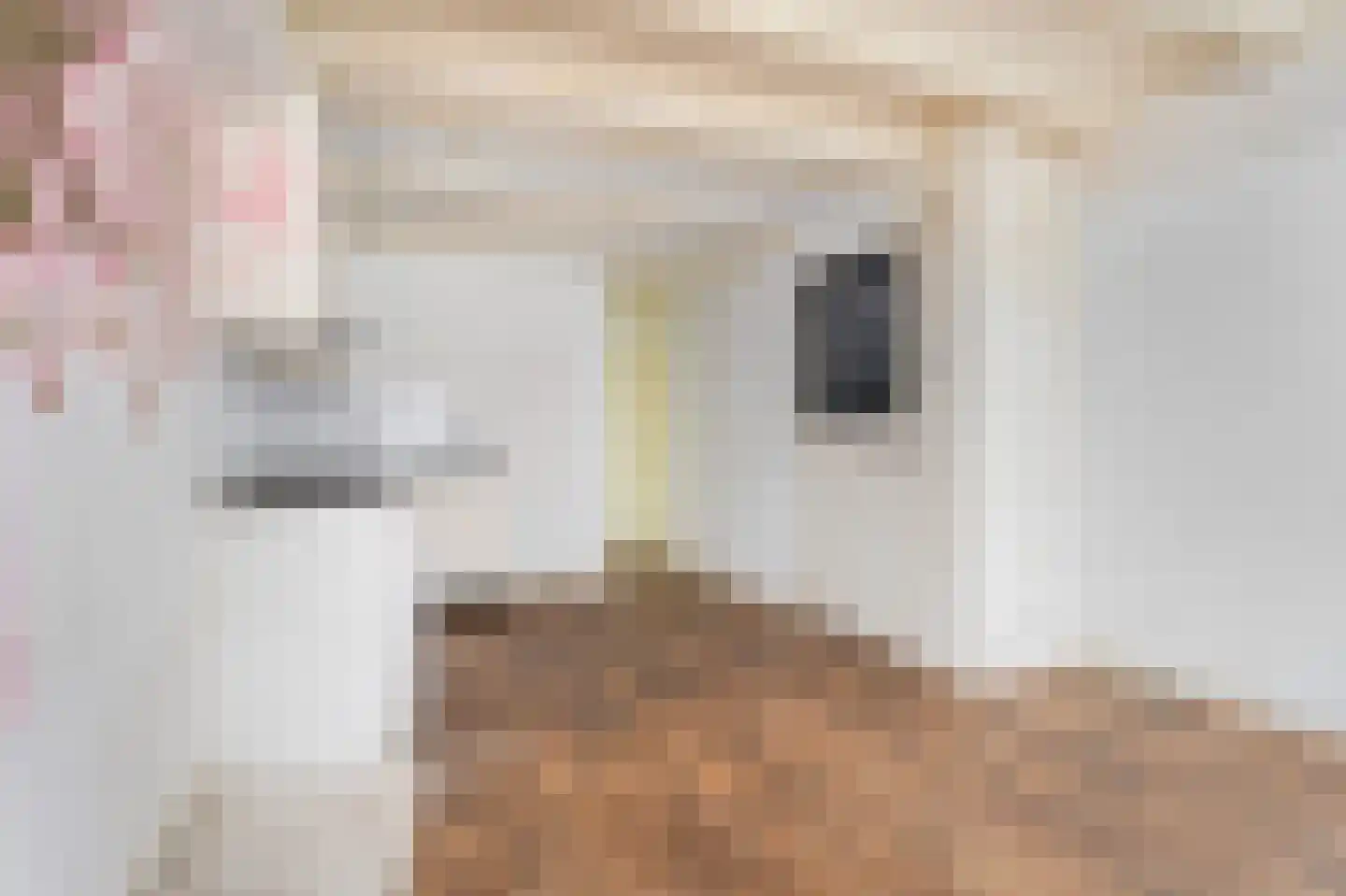 Driekoningenstraat 15 A Amsterdam thumbnail 34