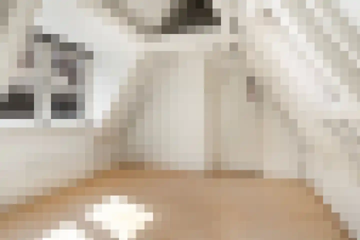 Driekoningenstraat 15 A Amsterdam thumbnail 64