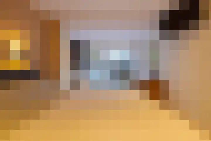 Driekoningenstraat 15 Arnhem thumbnail 43