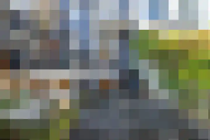 Driekoningenstraat 15 Arnhem thumbnail 5