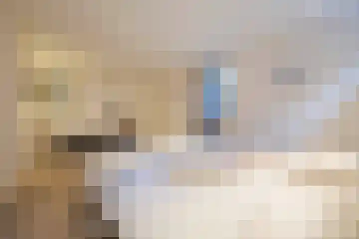 Driekoningenstraat 15 Arnhem thumbnail 57