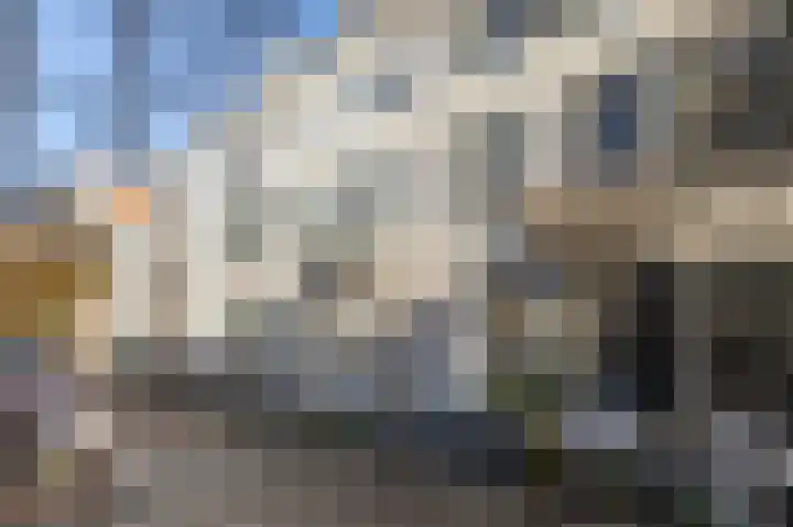 Driekoningenstraat 15 Arnhem thumbnail 8