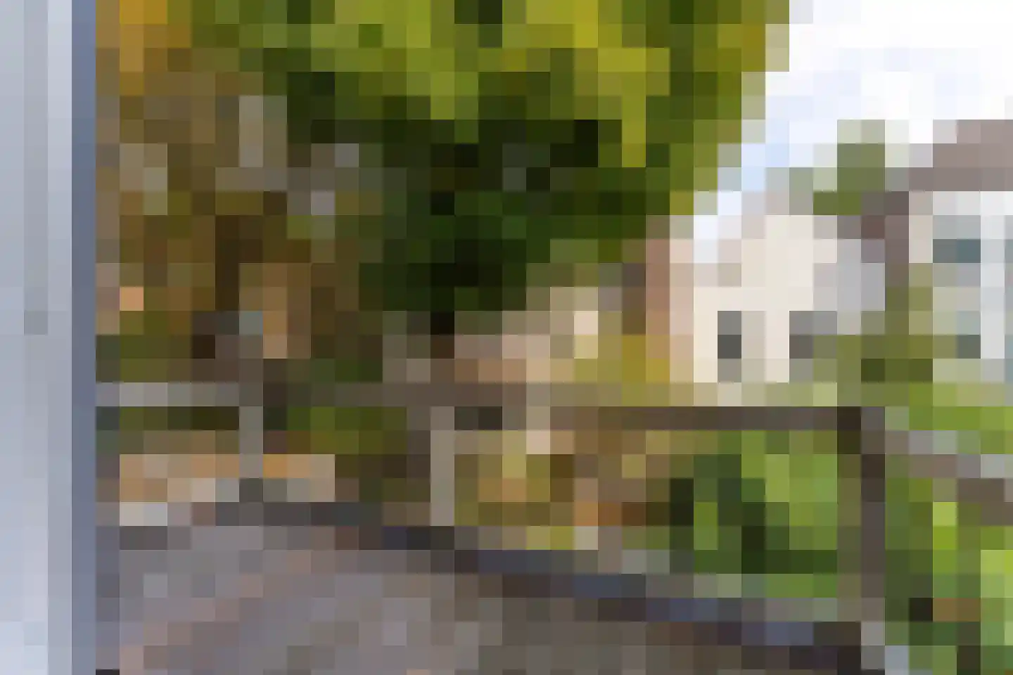 Driekoningenstraat 17 Arnhem thumbnail 12