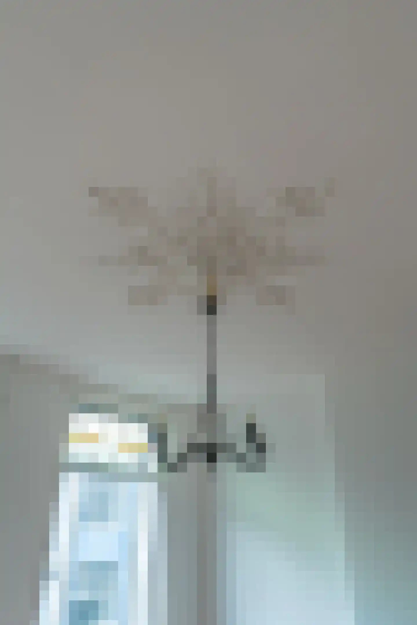 Driekoningenstraat 17 Arnhem thumbnail 39
