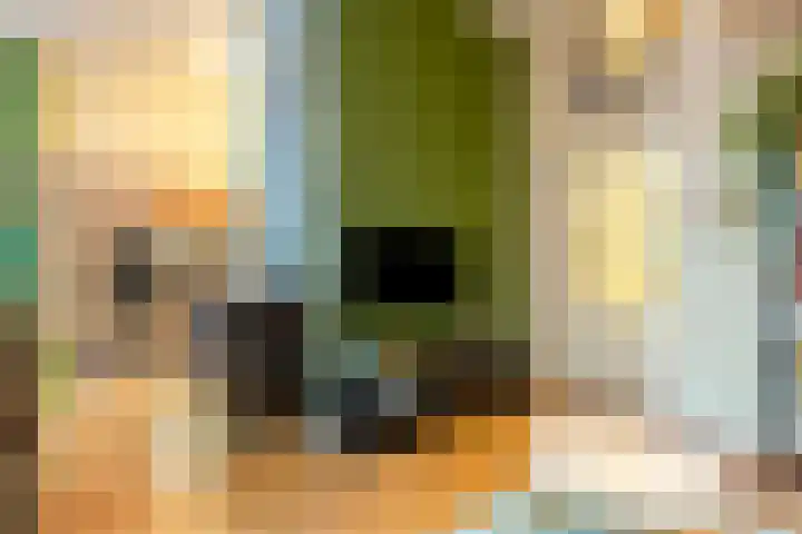 Driekoningenstraat 20 Amsterdam thumbnail 14