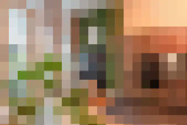Driekoningenstraat 20 Amsterdam thumbnail 16