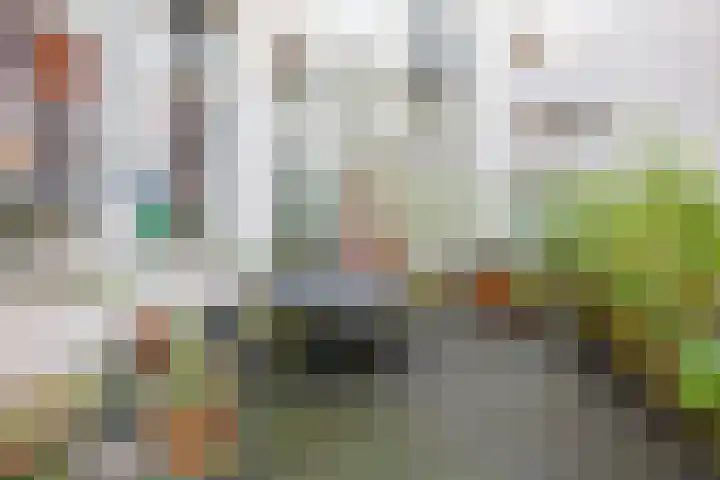 Driekoningenstraat 20 Amsterdam thumbnail 25