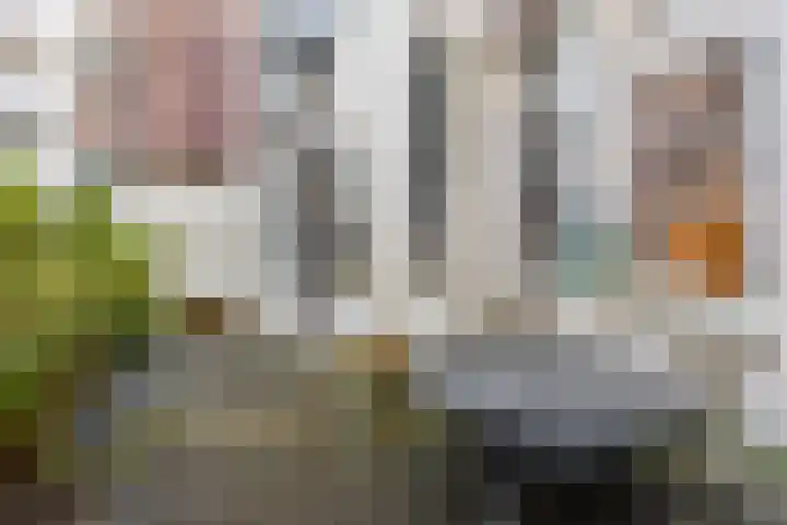 Driekoningenstraat 20 Amsterdam thumbnail 26