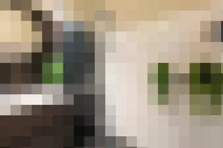 Driekoningenstraat 20 Amsterdam thumbnail 33