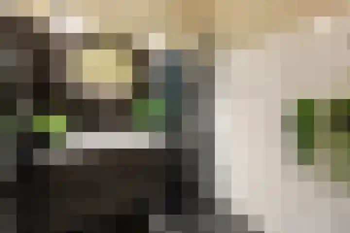Driekoningenstraat 20 Amsterdam thumbnail 34