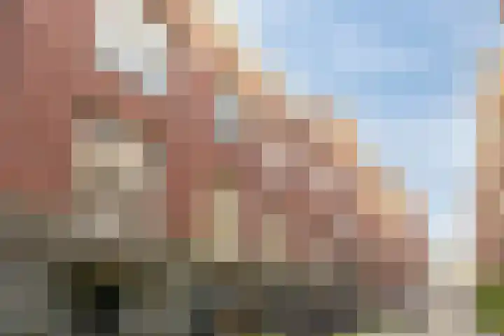 Driekoningenstraat 20 Amsterdam thumbnail 35